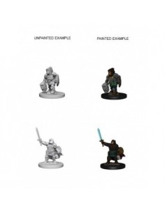 DWARF PALADIN