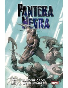 PANTERA NEGRA 02 EL SIGNIFICADO DE MI NO