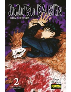 JUJUTSU KAISEN 02